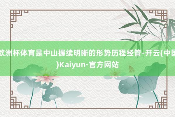 欧洲杯体育是中山握续明晰的形势历程经管-开云(中国)Kaiyun·官方网站