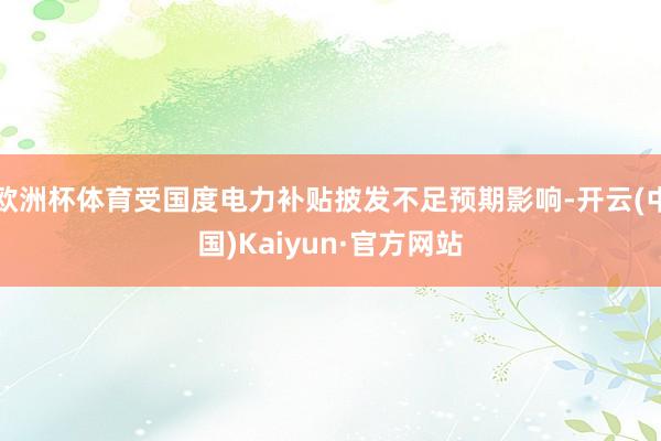 欧洲杯体育受国度电力补贴披发不足预期影响-开云(中国)Kaiyun·官方网站