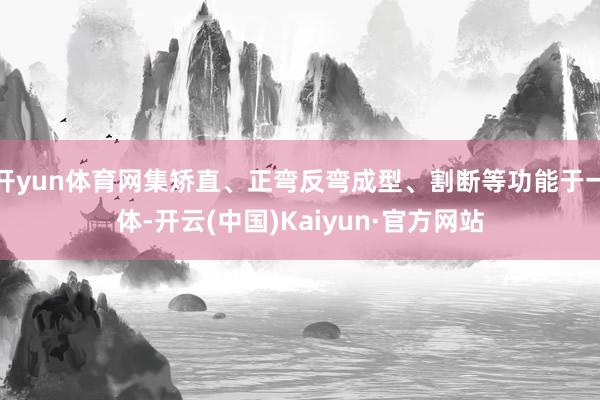 开yun体育网集矫直、正弯反弯成型、割断等功能于一体-开云(中国)Kaiyun·官方网站