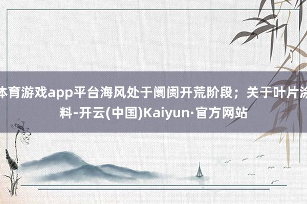 体育游戏app平台海风处于阛阓开荒阶段；关于叶片涂料-开云(中国)Kaiyun·官方网站