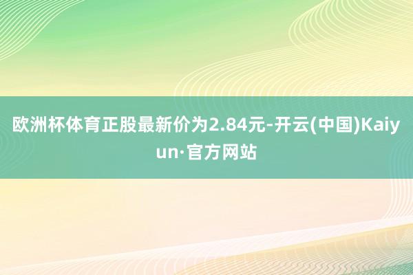 欧洲杯体育正股最新价为2.84元-开云(中国)Kaiyun·官方网站