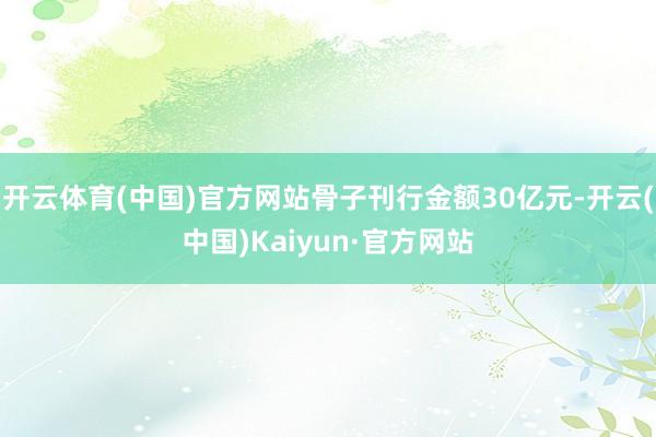 开云体育(中国)官方网站骨子刊行金额30亿元-开云(中国)Kaiyun·官方网站