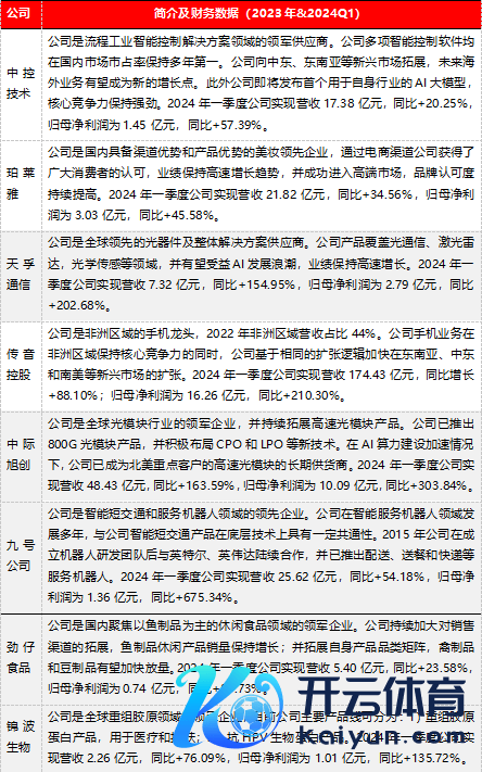 表3：部分事迹存在亮点的公司简介