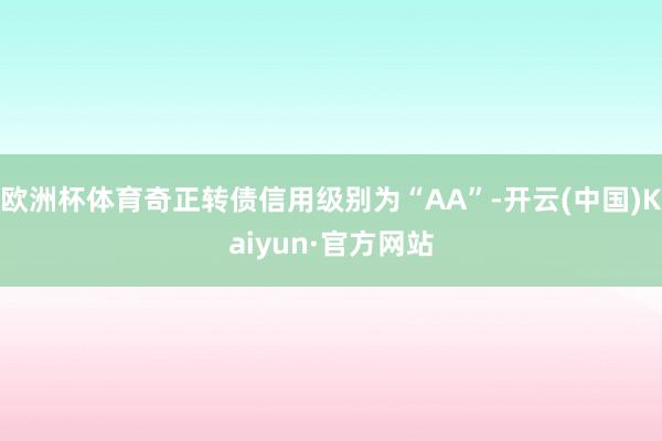 欧洲杯体育奇正转债信用级别为“AA”-开云(中国)Kaiyun·官方网站