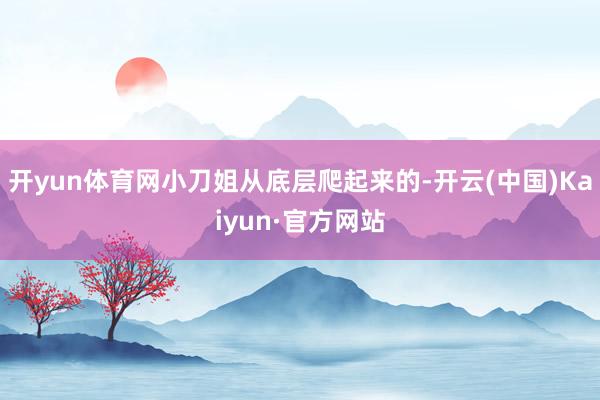 开yun体育网小刀姐从底层爬起来的-开云(中国)Kaiyun·官方网站