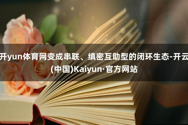 开yun体育网变成串联、缜密互助型的闭环生态-开云(中国)Kaiyun·官方网站