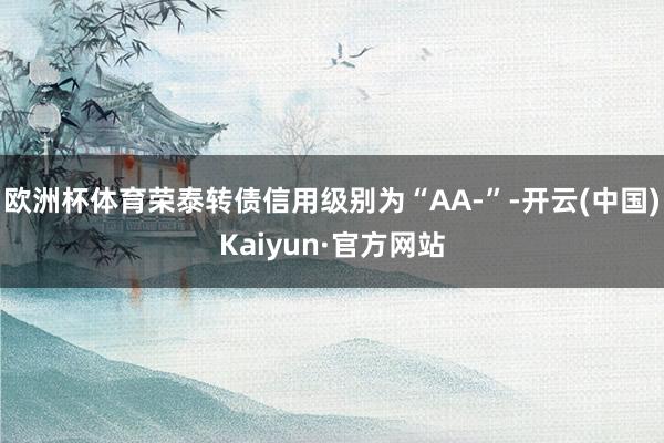 欧洲杯体育荣泰转债信用级别为“AA-”-开云(中国)Kaiyun·官方网站