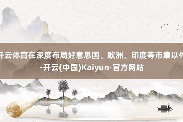 开云体育在深度布局好意思国、欧洲、印度等市集以外-开云(中国)Kaiyun·官方网站