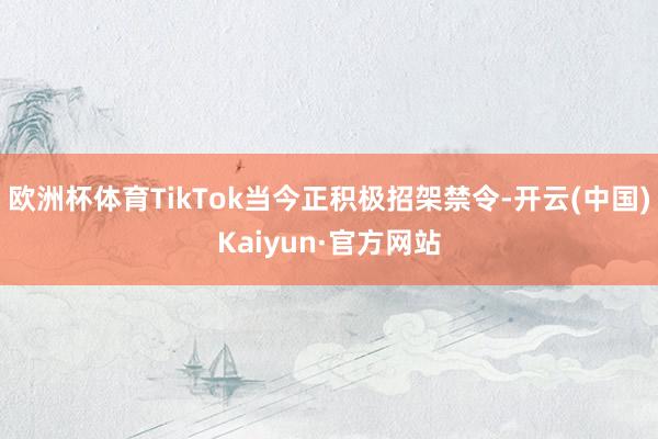 欧洲杯体育TikTok当今正积极招架禁令-开云(中国)Kaiyun·官方网站