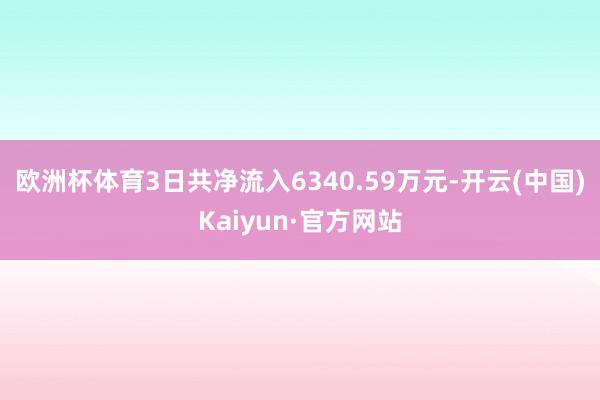 欧洲杯体育3日共净流入6340.59万元-开云(中国)Kaiyun·官方网站