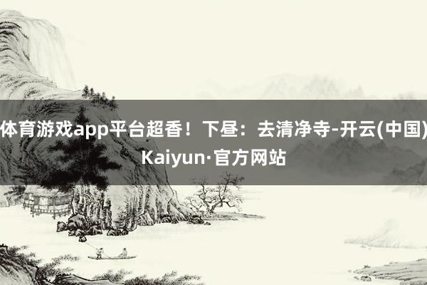 体育游戏app平台超香！下昼：去清净寺-开云(中国)Kaiyun·官方网站