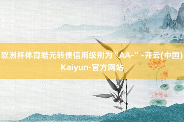 欧洲杯体育皓元转债信用级别为“AA-”-开云(中国)Kaiyun·官方网站