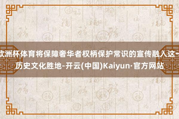 欧洲杯体育将保障奢华者权柄保护常识的宣传融入这一历史文化胜地-开云(中国)Kaiyun·官方网站